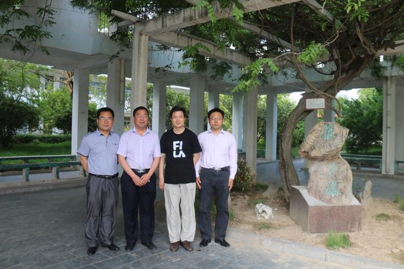 睢宁IT外包：推动企业数字化转型的新引擎